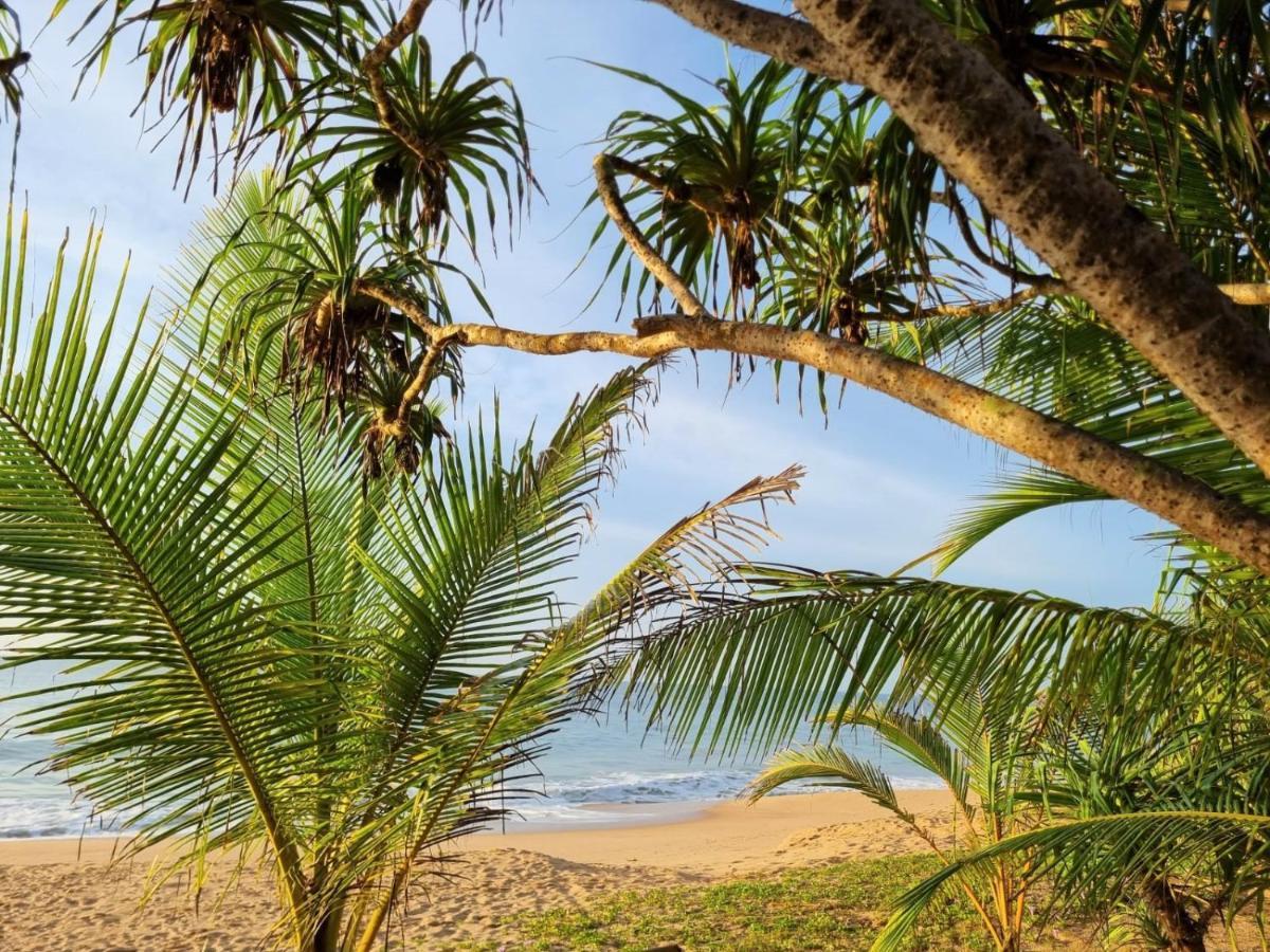 Golden Beach Paradise Tangalle Exterior photo